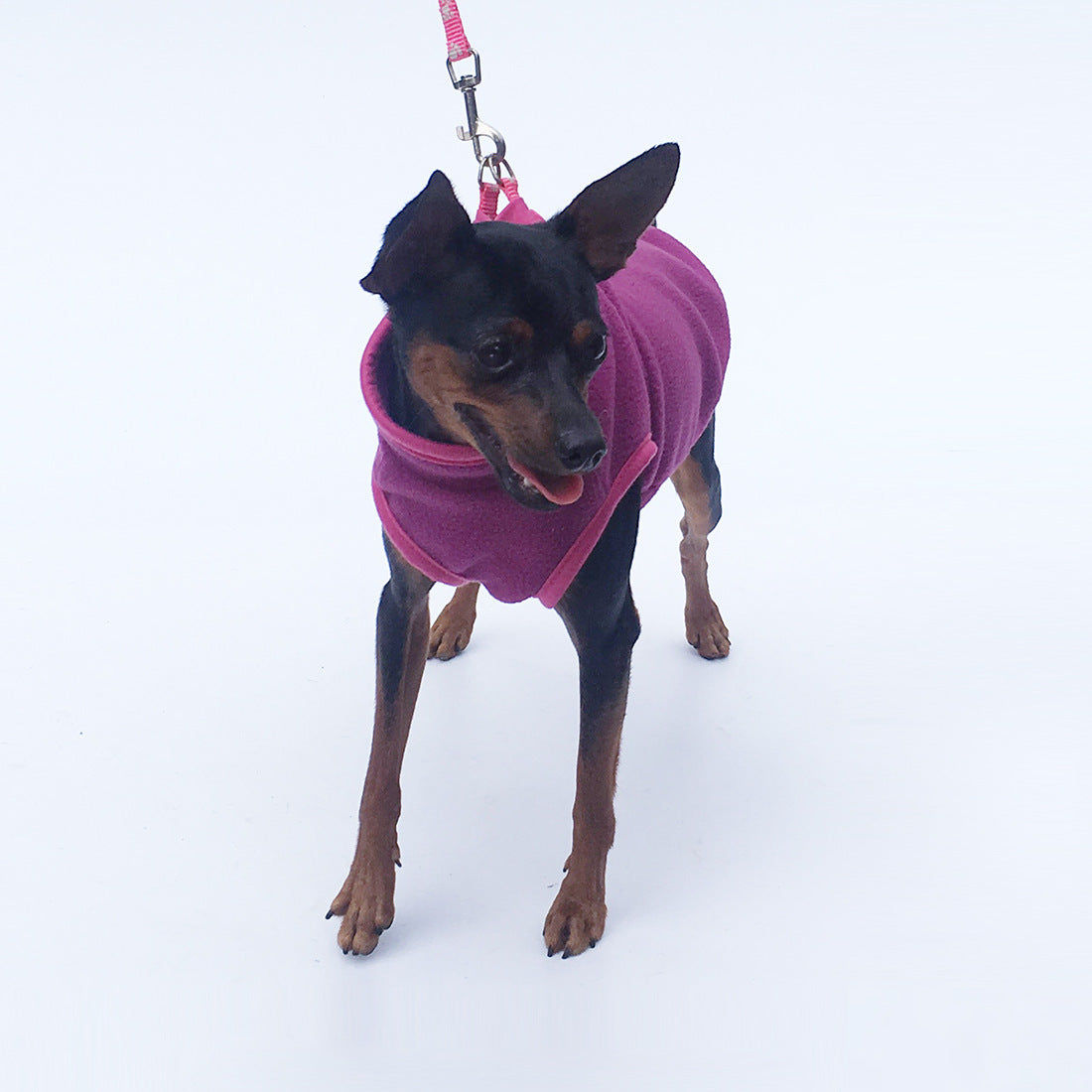 Polar Fleece Pullover, for dogs.