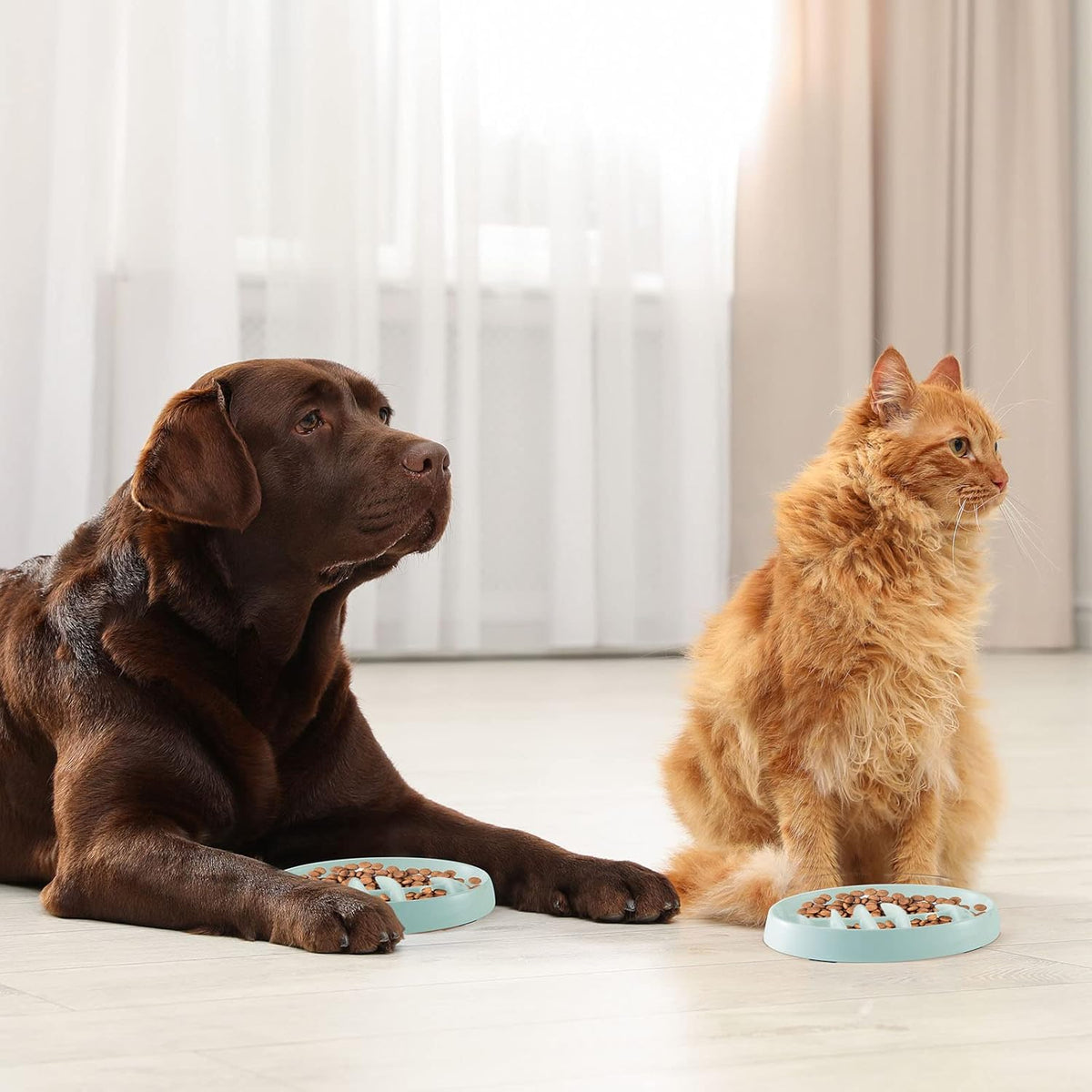 Fishbone-Shaped Anti-Gulping Slow Feeder Bowl, for cats.