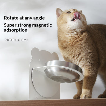 Stainless Steel Cat Bowl with Stand – Anti-Tip Wide Feeding Dish – in use