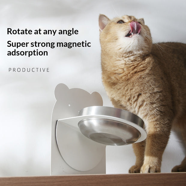 Stainless Steel Cat Bowl with Stand – Anti-Tip Wide Feeding Dish – in use