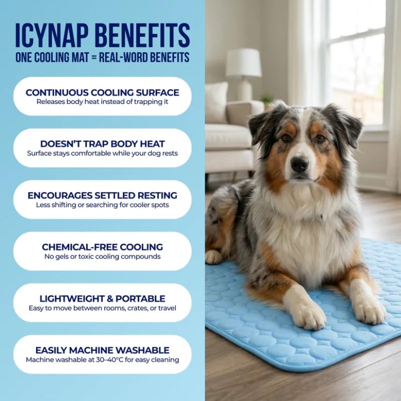 Breathable Self-Cooling Ice Silk Pet Mat for Summer