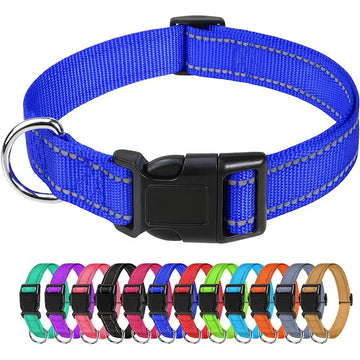 Adjustable Nylon Dog Collar – Reflective Walking Collar All Sizes – in use