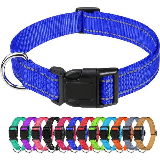 Adjustable Nylon Dog Collar – Reflective Walking Collar All Sizes – in use