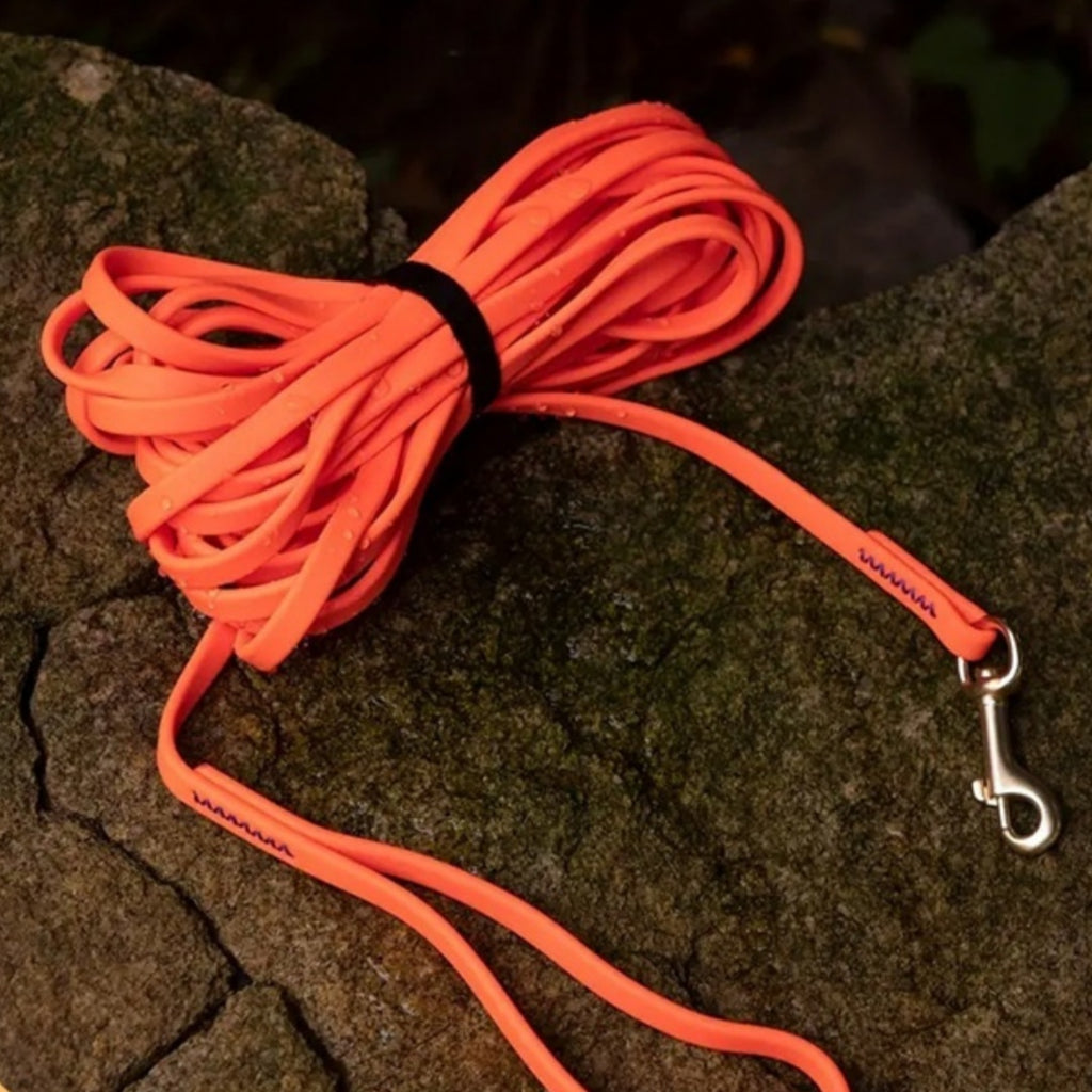 Thickened Anti-Break Training Leash, for dogs.