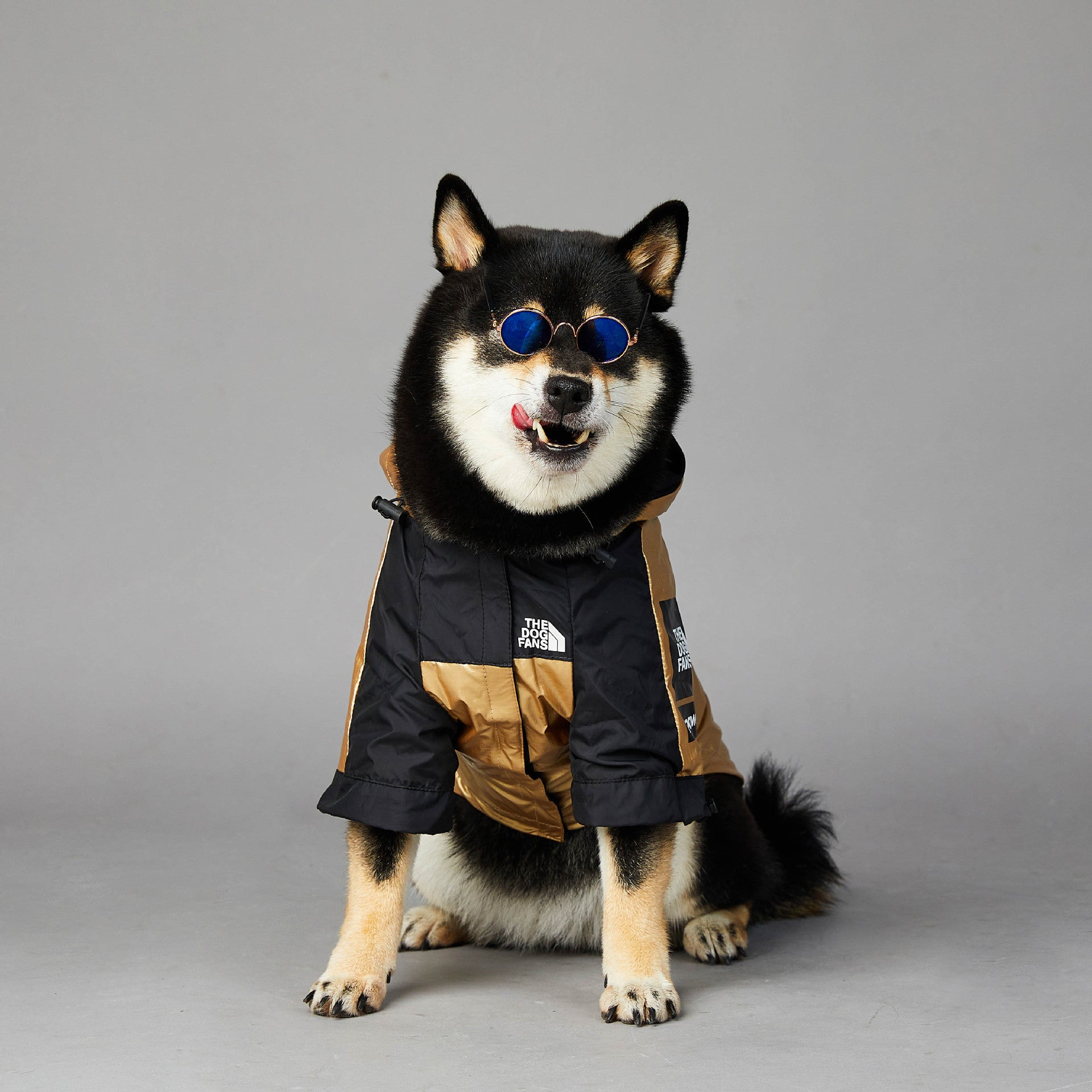Dog Raincoat Pet Jacket - kindoPet