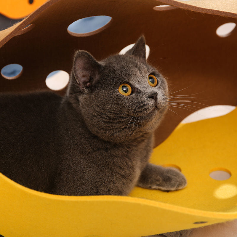 Foldable Felt Cat Tunnel Toy for Hide-and-Pounce Play, for cats.
