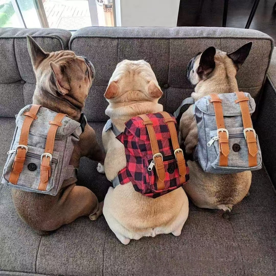 Retro Streetwear Backpack Carrier, for dogs.