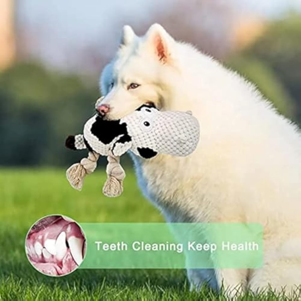 Plush Cow Dog Toy with Squeaker and Crinkle Ears, for dogs.
