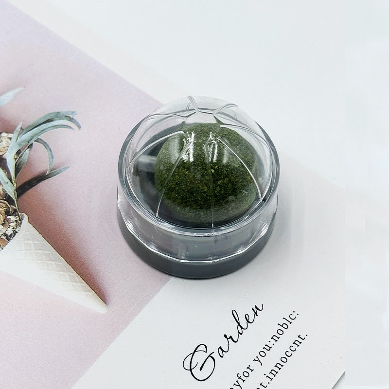 Kindopet™ Cat Teasing Ball & Molar Rod – Interactive Self-Play Toy for Stress Relief