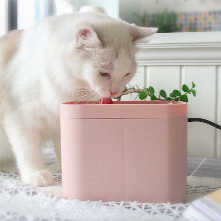 Smart Water Fountain, for dogs and cats.