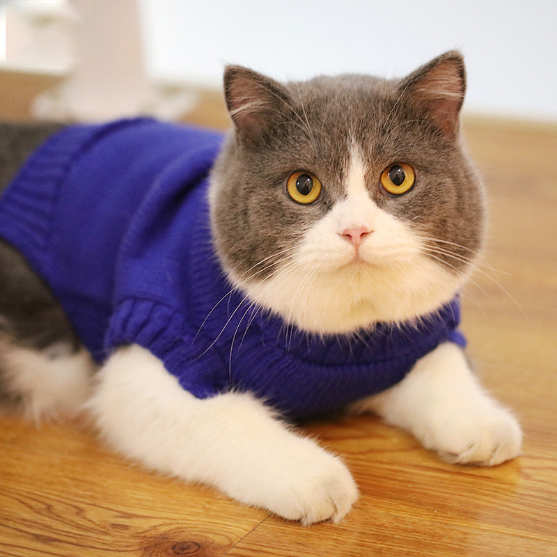 Bulky Acrylic Knit Sweater, for cats.