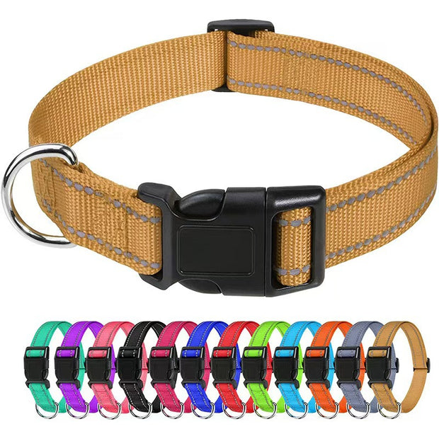 Adjustable Nylon Dog Collar – Reflective Walking Collar All Sizes – lifestyle photo