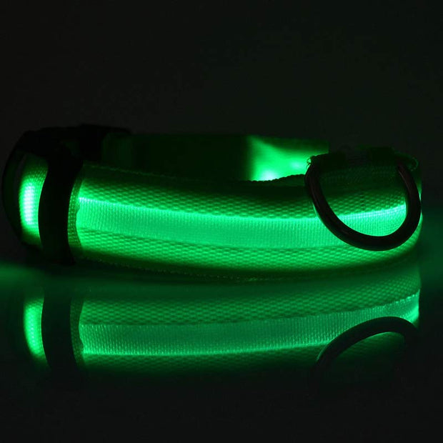 LED Dog Safety Collar – Nylon Glow-in-the-Dark Night Light – close-up