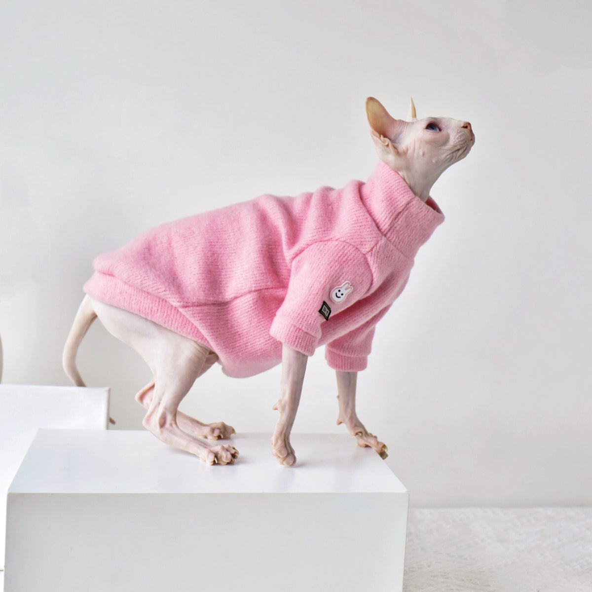 Warm Thickened Wool Winter Coat for Hairless Cats, for cats.