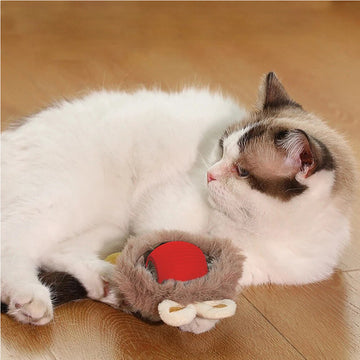 Interactive Self-Rotating Cat Ball – LED Auto-Play Toy – in use
