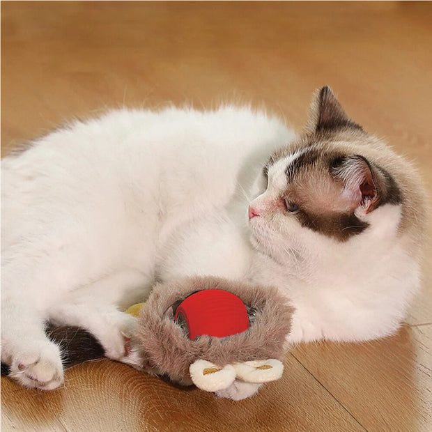 Interactive Self-Rotating Cat Ball – LED Auto-Play Toy – in use