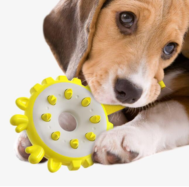 Plastic Molar Ring Chew Toy, for dogs.