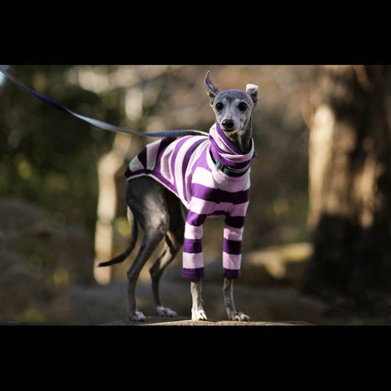 High-Neck Two-Leg Fleece Coat, for dogs.