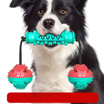 Durable Dumbbell Chew Stick – Teeth Cleaning Dog Toy – size reference