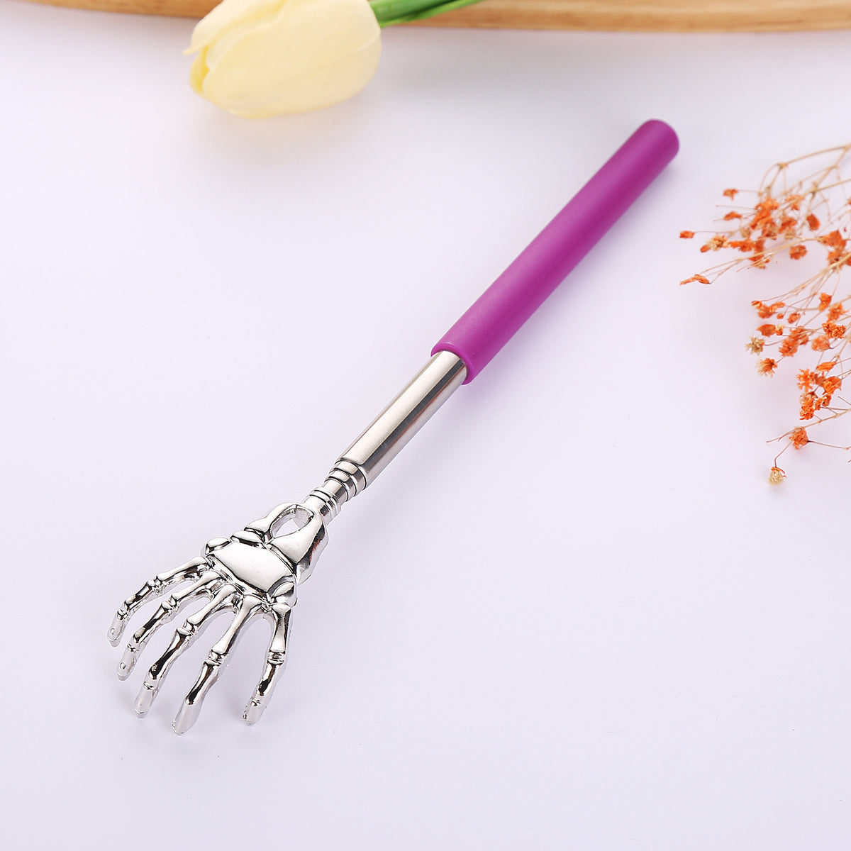 Retractable Wand Toy and Comb for Playful Cats, for cats.
