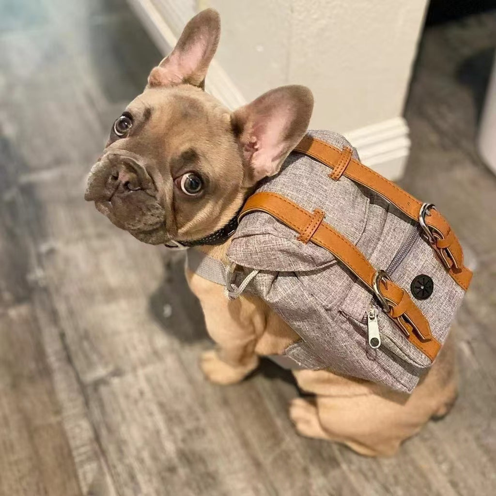 Retro Streetwear Backpack Carrier, for dogs.