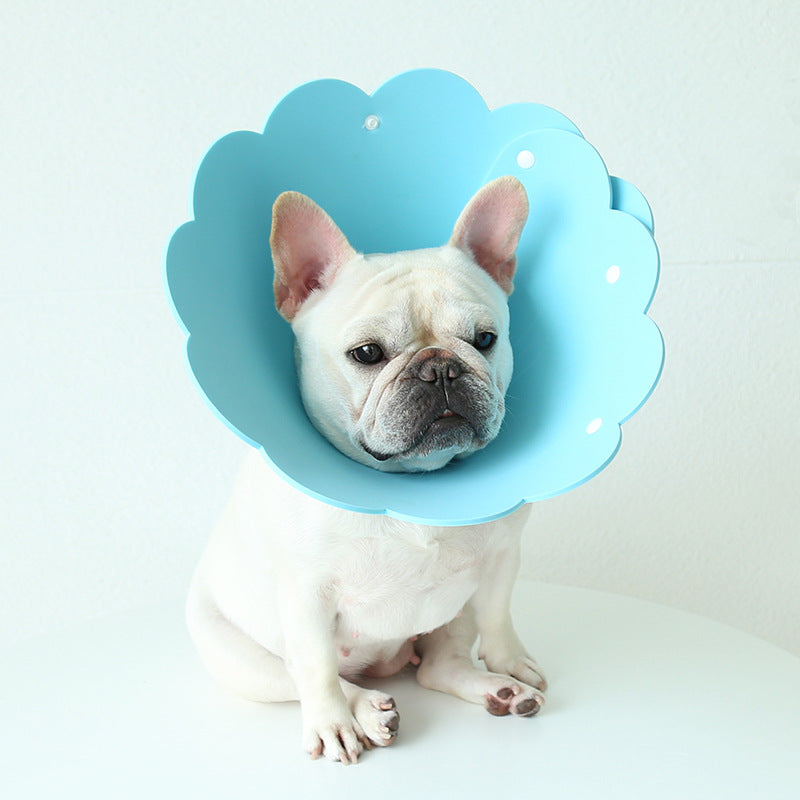 Sunflower-Shape EVA Anti-Licking Collar, for dogs.