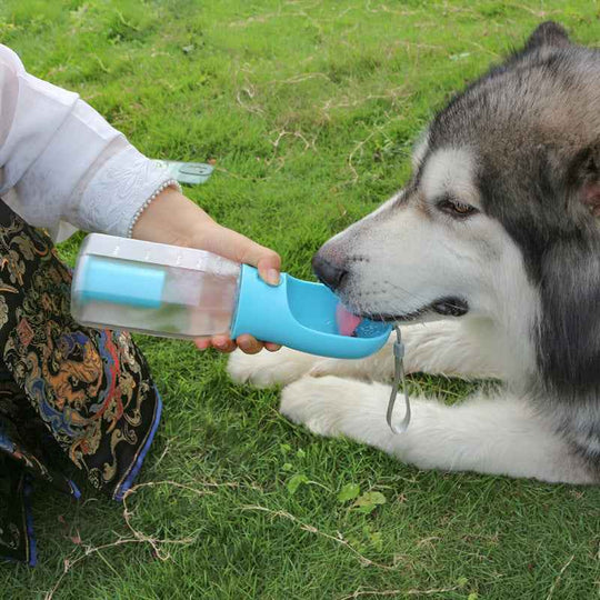 Portable Dog Water Cup with Built-in Garbage Bag Holder for Outdoor Use