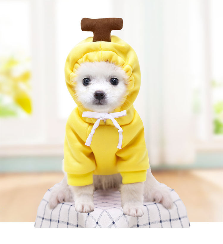 Fleece Hooded Sweater, for dogs and cats.