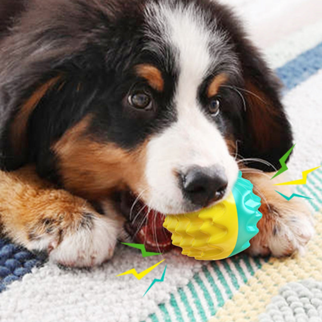 Squeaky Toothbrush Teether Ball Chew Toy, for dogs.