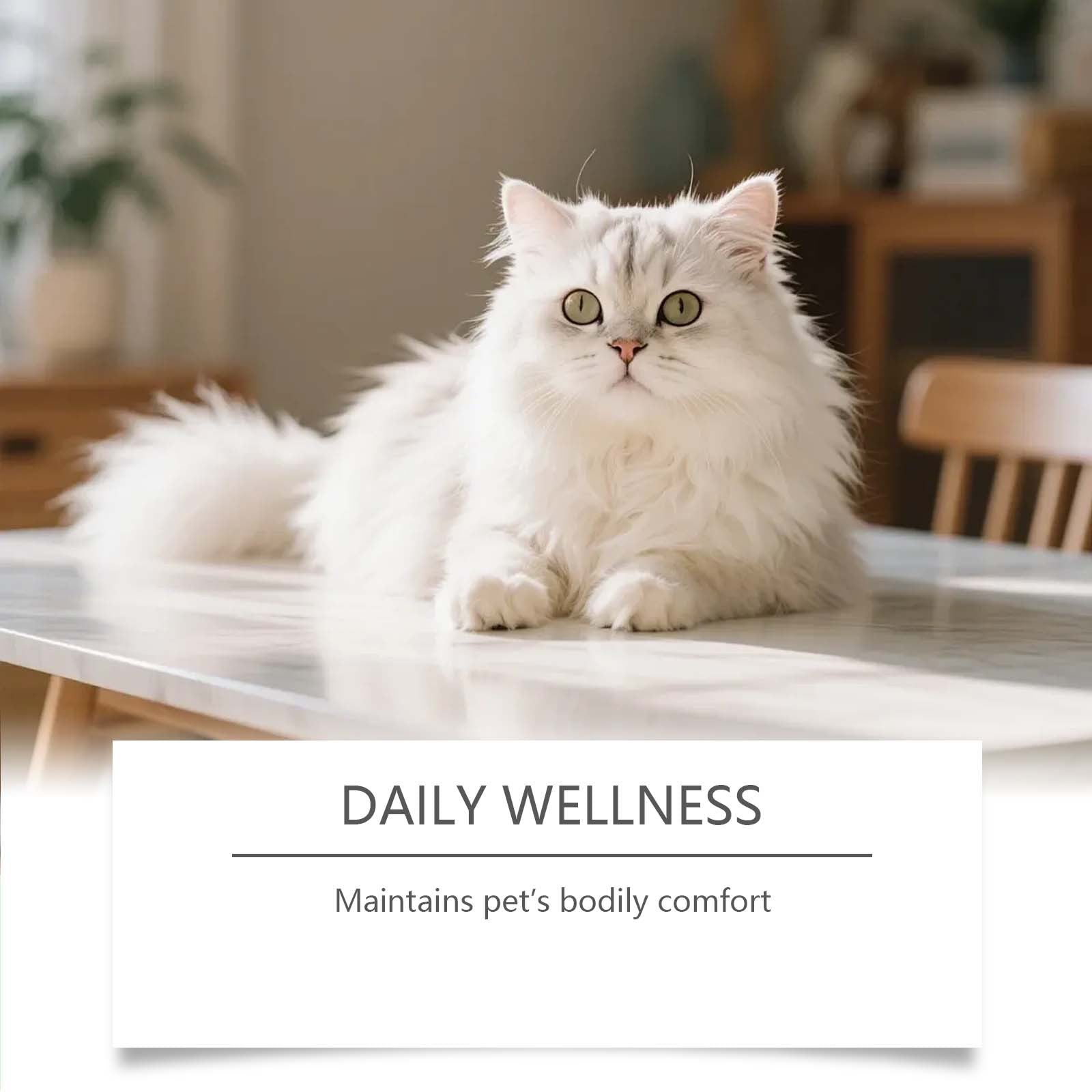 bottle of cat constipation relief liquid digestive support supplement