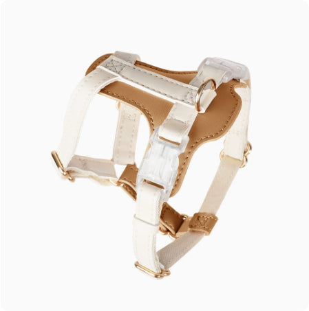 cat wearing breathable vest harness with reflective strips for night walks