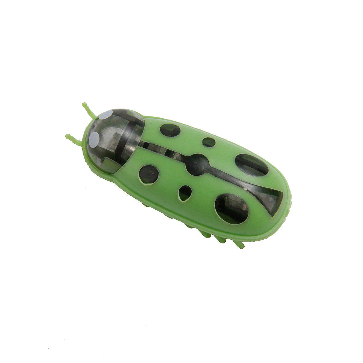 Electronic Bug Toy, for dogs and cats.