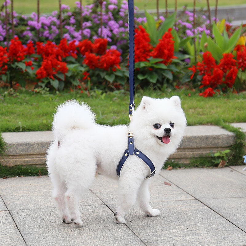 Adjustable PU Leather Chest Harness, for dogs and cats.
