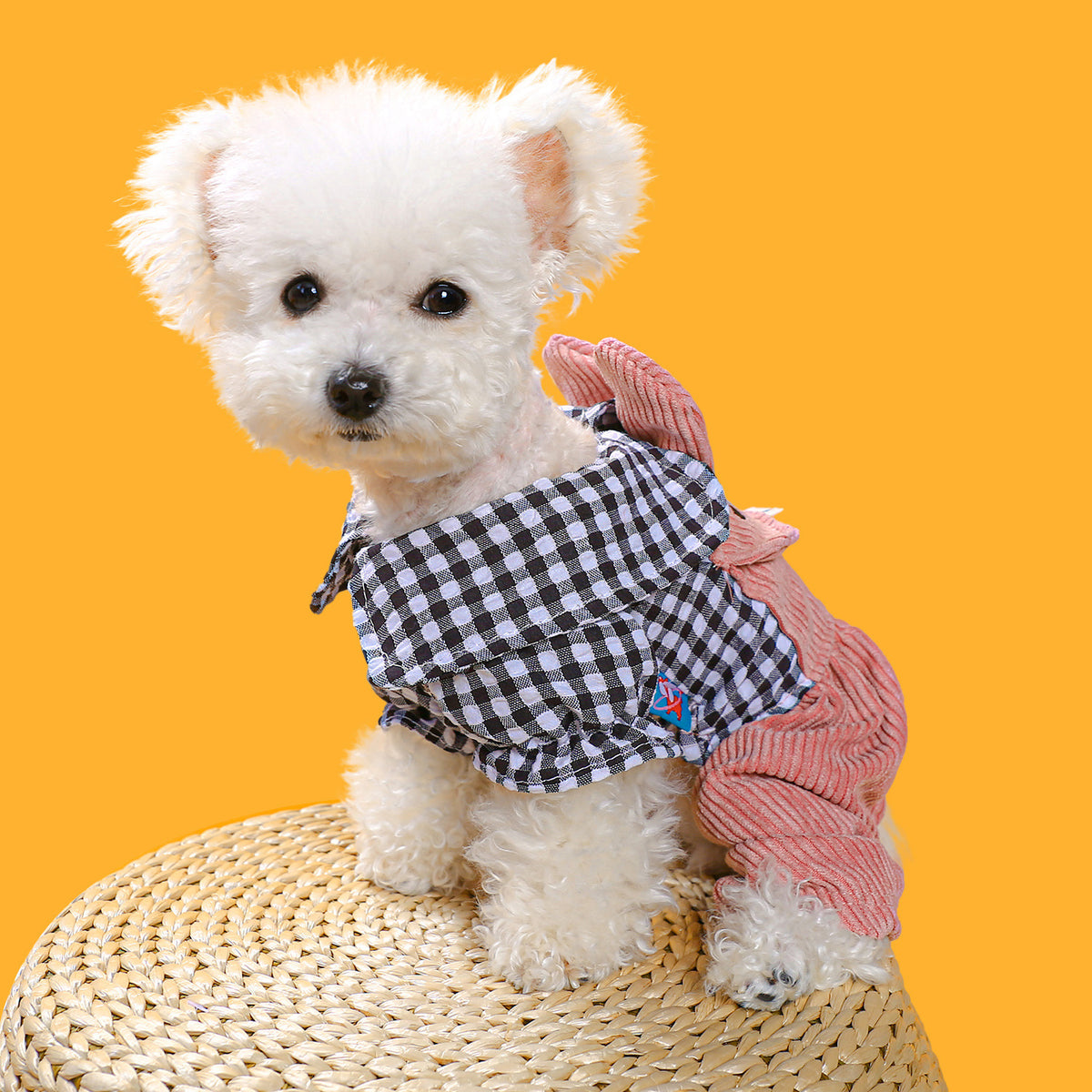 Plaid Four-Leg Polyester Overalls, for dogs.