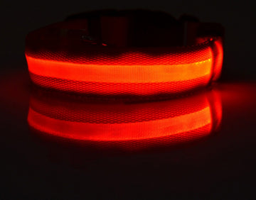 LED Dog Safety Collar – Nylon Glow-in-the-Dark Night Light – packaging
