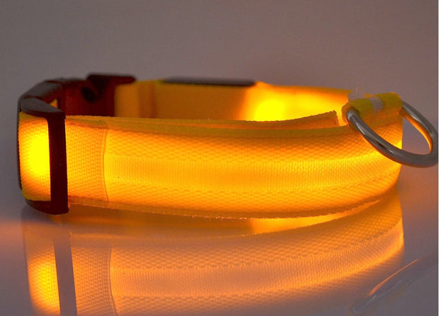LED Dog Safety Collar – Nylon Glow-in-the-Dark Night Light – side view