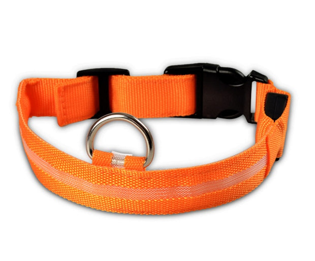 LED Dog Safety Collar – Nylon Glow-in-the-Dark Night Light – size reference
