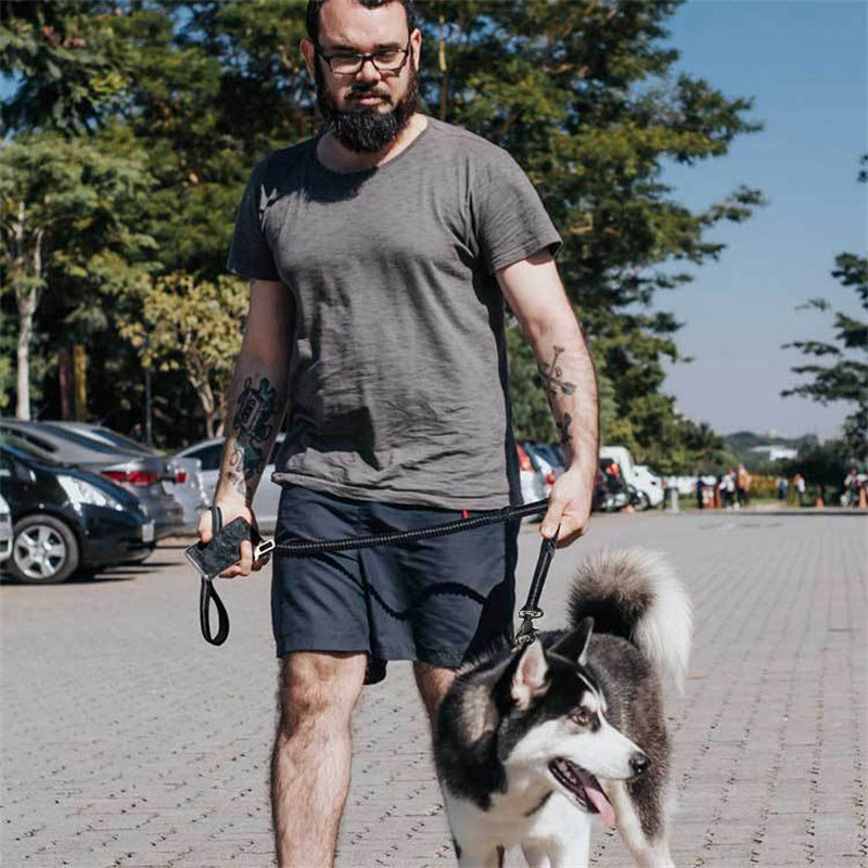 Bungee Dog Leash, for dogs.