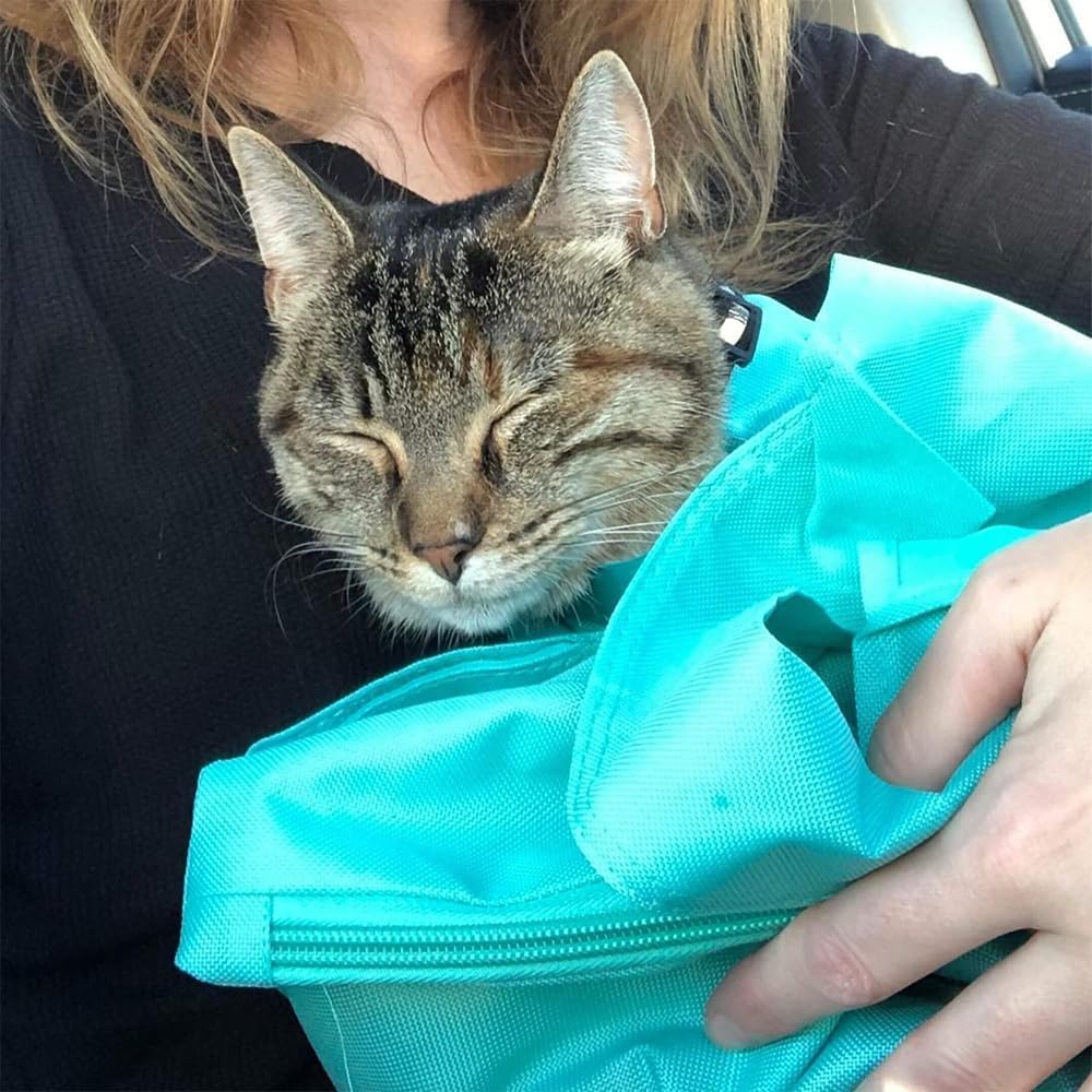 Soft Foldable Cat Carrier Pouch for Nail Trims, for dogs and cats.