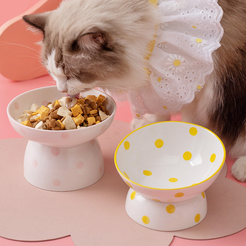 Raised Ceramic Cat Bowl with Polka Dot Design, for cats.