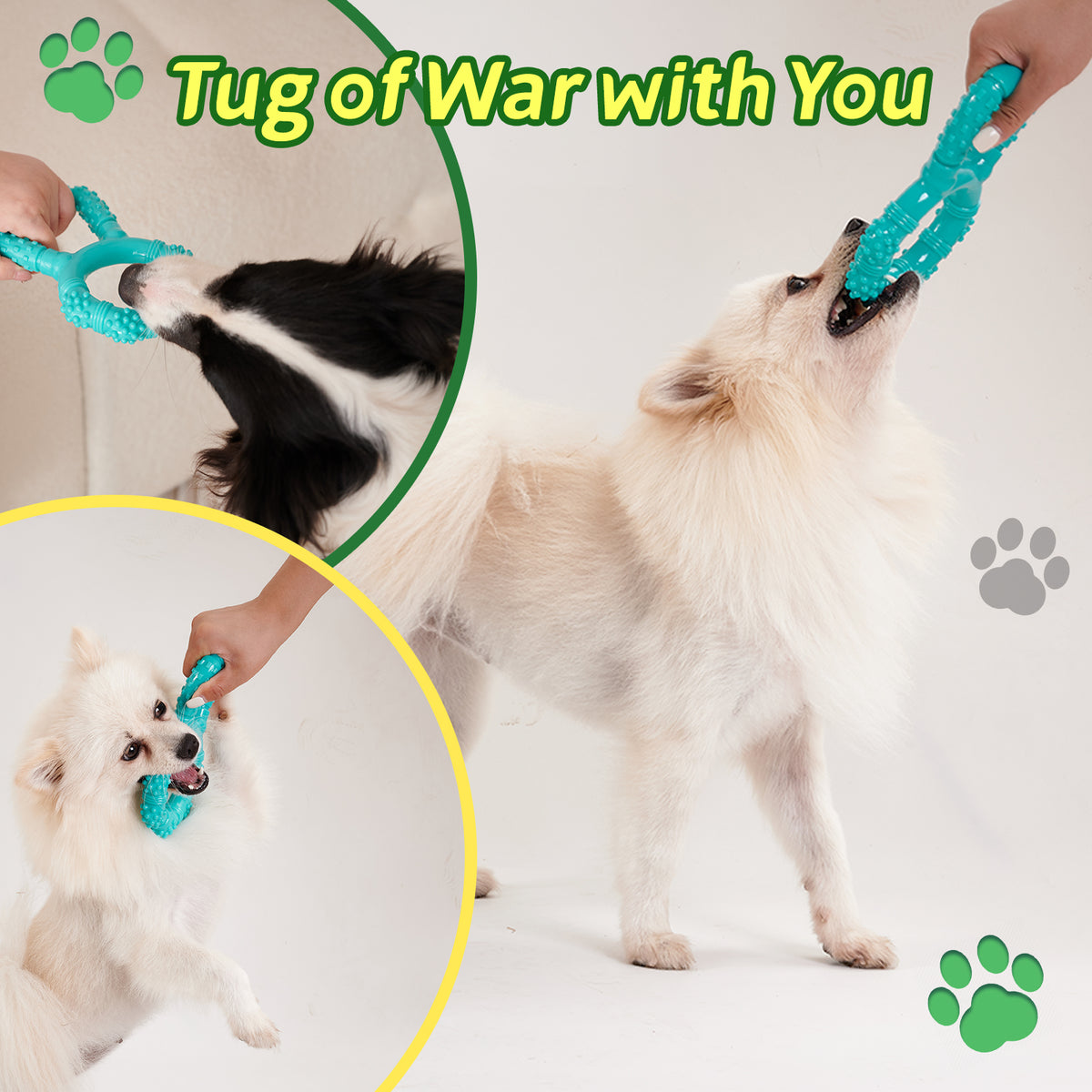 Interactive Plastic Pull-Ring Chew Toy, for dogs.
