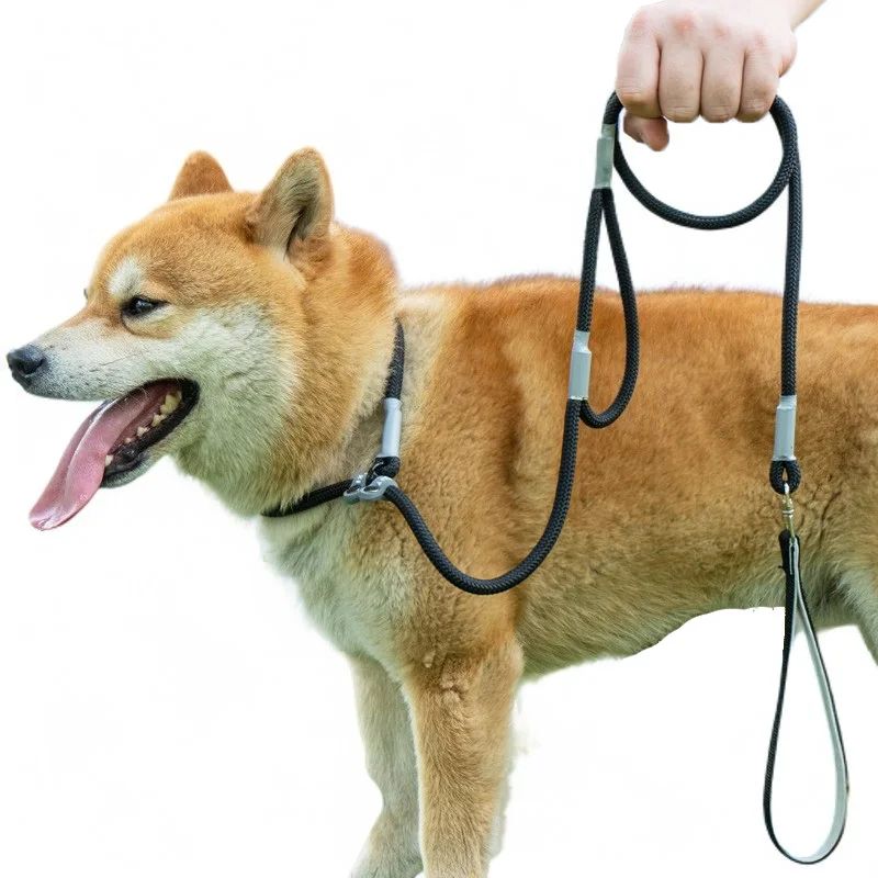 Double-Handle No-Pull Nylon Leash, for dogs.