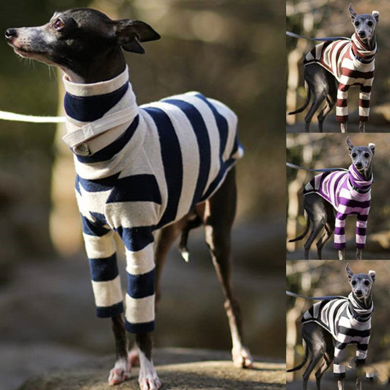 High-Neck Two-Leg Fleece Coat, for dogs.