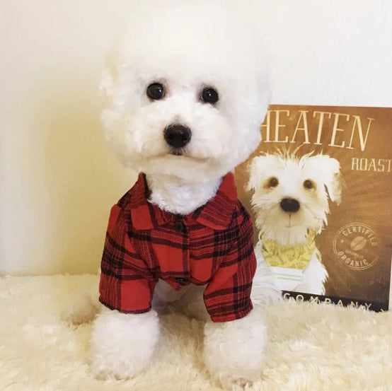 Lattice-Print Cotton Shirt-Skirt, for dogs.