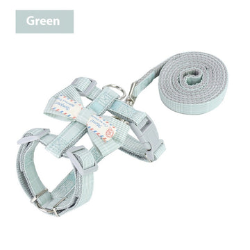 Adjustable Cat Bungee Leash – Retractable Anti-Break Rope – features