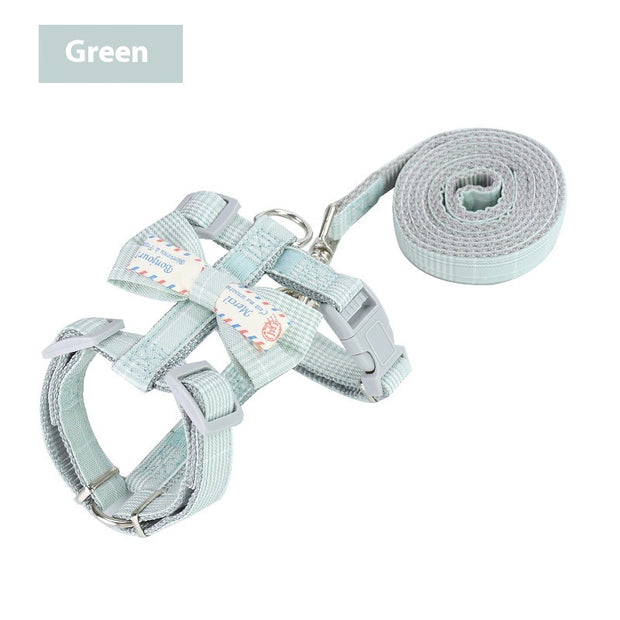 Adjustable Cat Bungee Leash – Retractable Anti-Break Rope – features