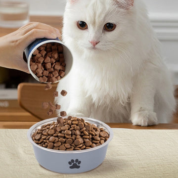 Anti-Spill Double Pet Bowl – Stainless Steel Food & Water Feeder – side view