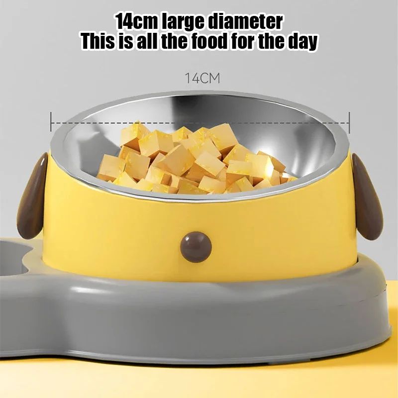 2-in-1 Tilted Feeding Bowl and Water Bottle Set