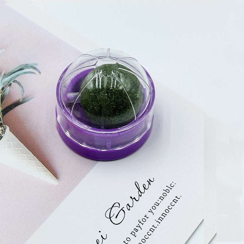 Kindopet™ Cat Teasing Ball & Molar Rod – Interactive Self-Play Toy for Stress Relief