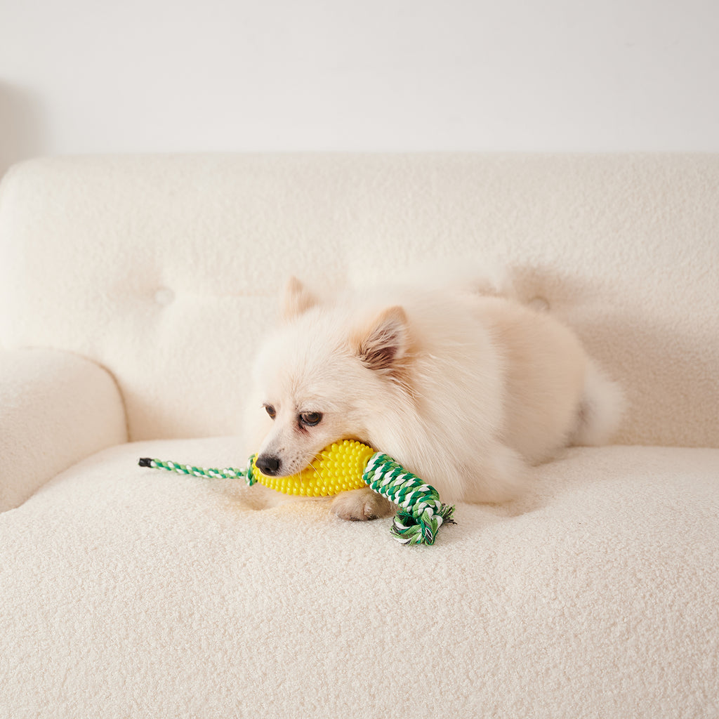 Zigzag Ridged Chew Toy for Interactive Dog Play, for dogs.